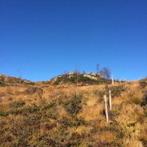 Jaktprøve 24 og 25 okt&nbsp;avlyst