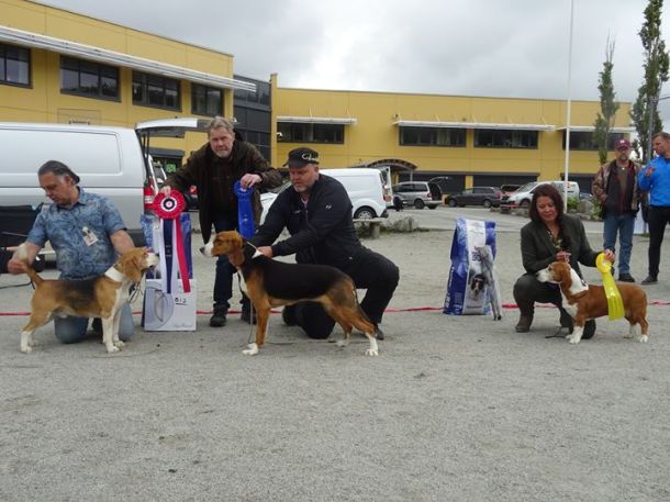 98053945_2667200660216534_7957120626072748032_o