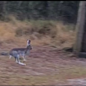 Ny Facebookside for&nbsp;klubben!