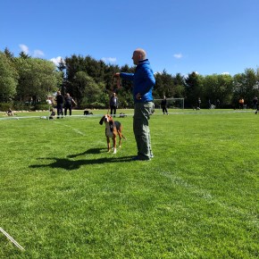 Velkommen til utstilling på Orre&nbsp;7.mai!