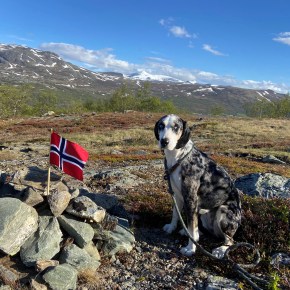 Tom Kjetil Ims vant Debutant mesterskapet&nbsp;2022!