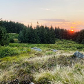 Resultater Vinterprøven 2023