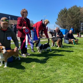 Resultater fra utstillingen på Orre&nbsp;7.mai